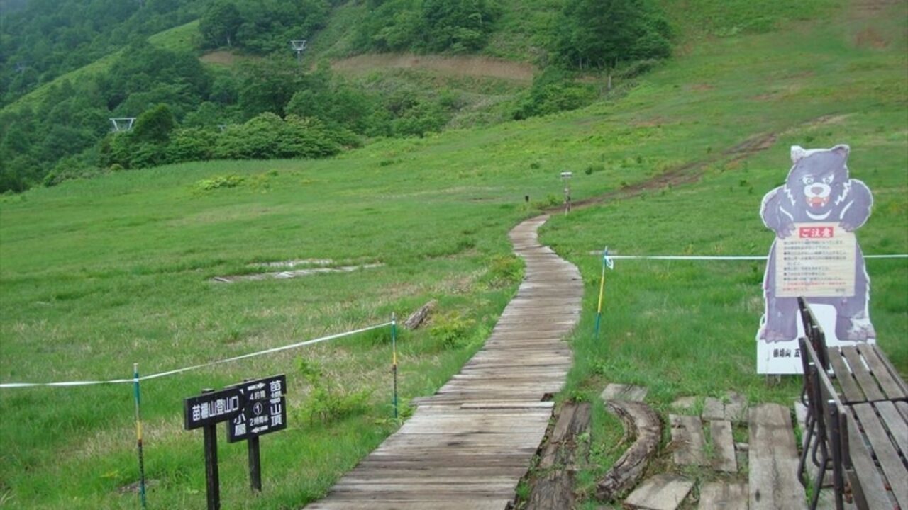 苗場山 なえばさん 2145 3m 登山コース徹底解説 新潟の山らて 新潟の山らて