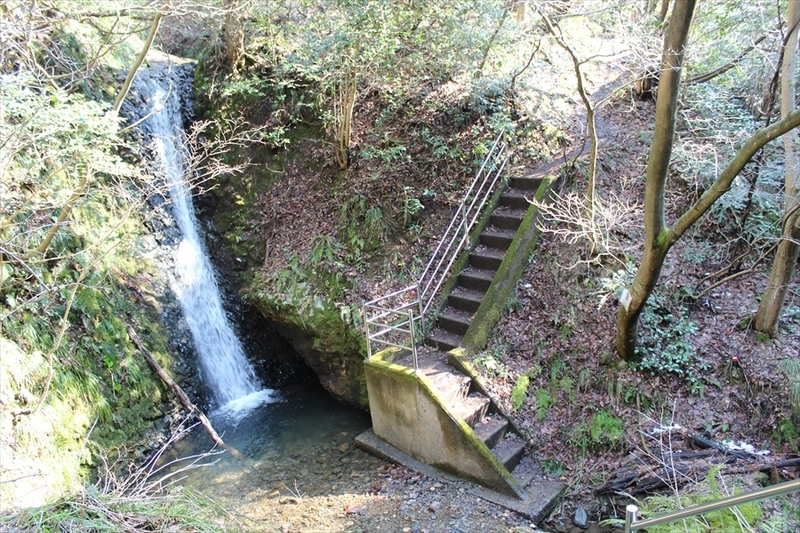 弥彦山登山コース 6コース徹底解説 トレッキングマップあり 難易度 所要時間も 新潟の山らて